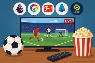 彩客网旧版界面截图